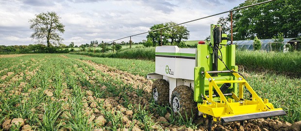сельскохозяйственный робот